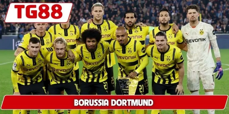 Borussia Dortmund: Kèo Cược Và Tin Tức Borussia Dortmund 5 Borussia Dortmund