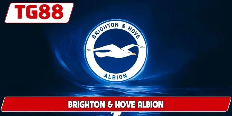 Brighton Và Hove Albion: Cập Nhật Kèo Cược Brighton Tại TG88 5 Brighton Và Hove Albion