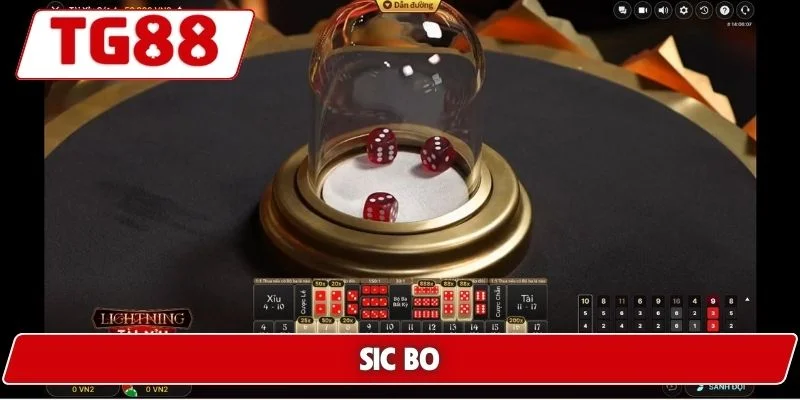 Cược Sic Bo Hấp Dẫn Tại TG88 - Cơ Hội Thắng Lớn Mỗi Ngày 4 Sic Bo